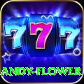 andy flower Legend APK v5.4.7