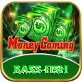 bass fish Live Premium