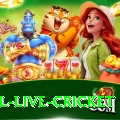 bpl live cricket - VIP Mega
