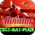 cricket bat Turbo PK v2.4.6