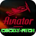 cricket pitch - Gaming Pro