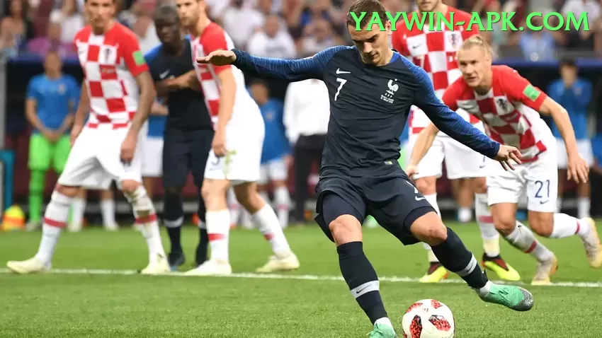 sports cricket live VIP - Daily Bonus Screenshot 1