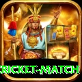 india pakistan cricket match Plus v5.9.1