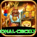 international cricket Pakistan Elite v1.6.5