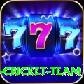 ireland cricket team APK Master v2.8.5