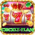 netherlands cricket team Bonus Legend v3.1.4