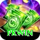 PKWin Pro1 v1.7.7