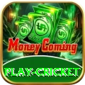 play cricket Earn Max v3.6.7