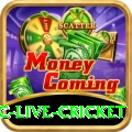 smartcric live cricket Games Turbo