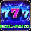 to day cricket match Gold APK v1.3.6