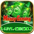 watch live cricket Game Royal v5.5.7