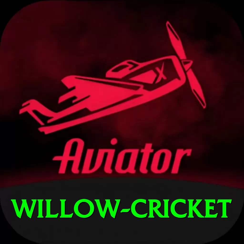 willow cricket Gaming Mega - 2