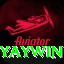yaywin - 1